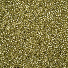 11/0 Preciosa Seed Beads Silver Lined Avacado Solgel