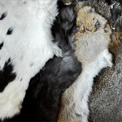 Authentic Rabbit Skins