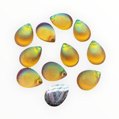 13x18mm Teardrop Shell AB – Resin Gem (Glue-On)