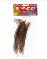 Ringneck Pheasant Tail Natural 6-8 inch (10 piece)