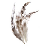 Chanchilla Feather