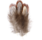 Pheasant Feather Natural 3g