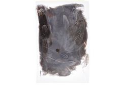 Pheasant Feather Natural 3g