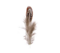Pheasant Feather Natural 3g