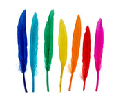 Small Duck Wing Feathers 3-4 inch (24 piece)