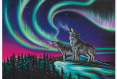 Note Cards - Sky Dance