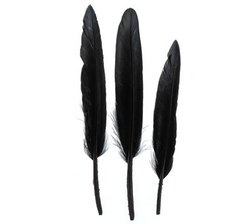 Small Duck Wing Feathers 3-4 inch (24 piece)
