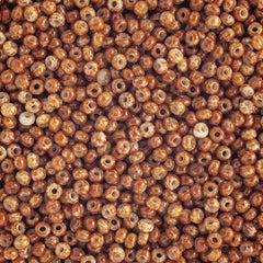 10/0 Preciosa Seed Beads Opaque Travertine on Chalk White