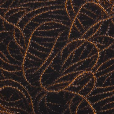 13/0 Charlotte Cut Preciosa (Czech) Bead Transparent Dark Topaz Strung