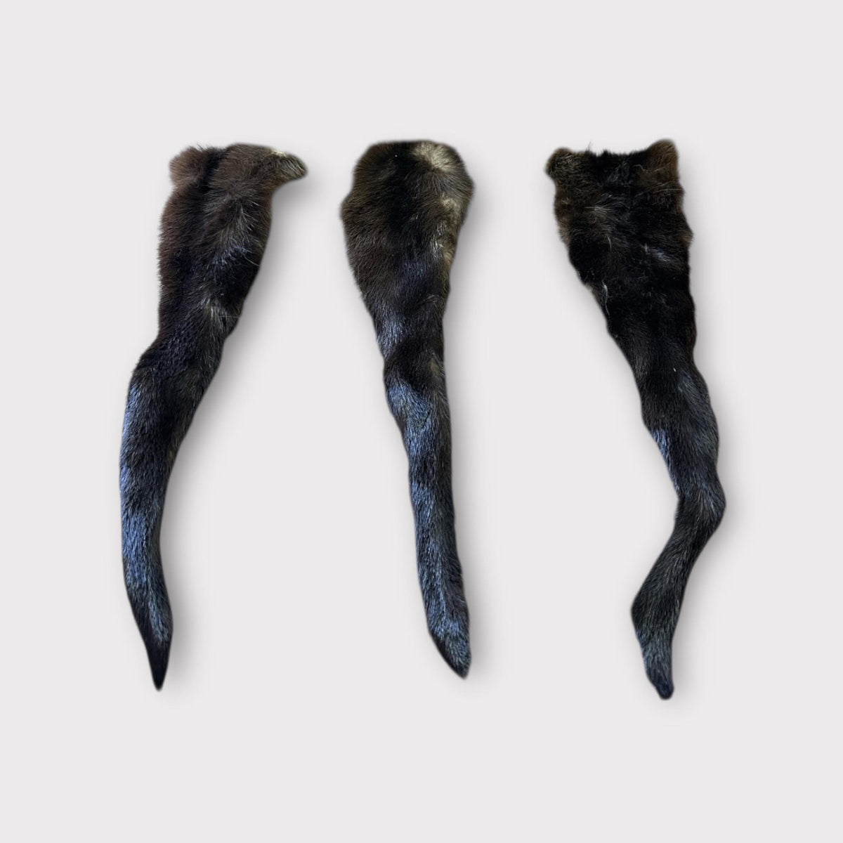 Otter Tails – 16–19 Inches