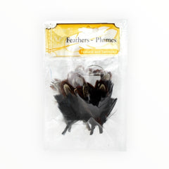 Turkey/Pheasant Plumage Hat Trim – 7cm – Black/Natural