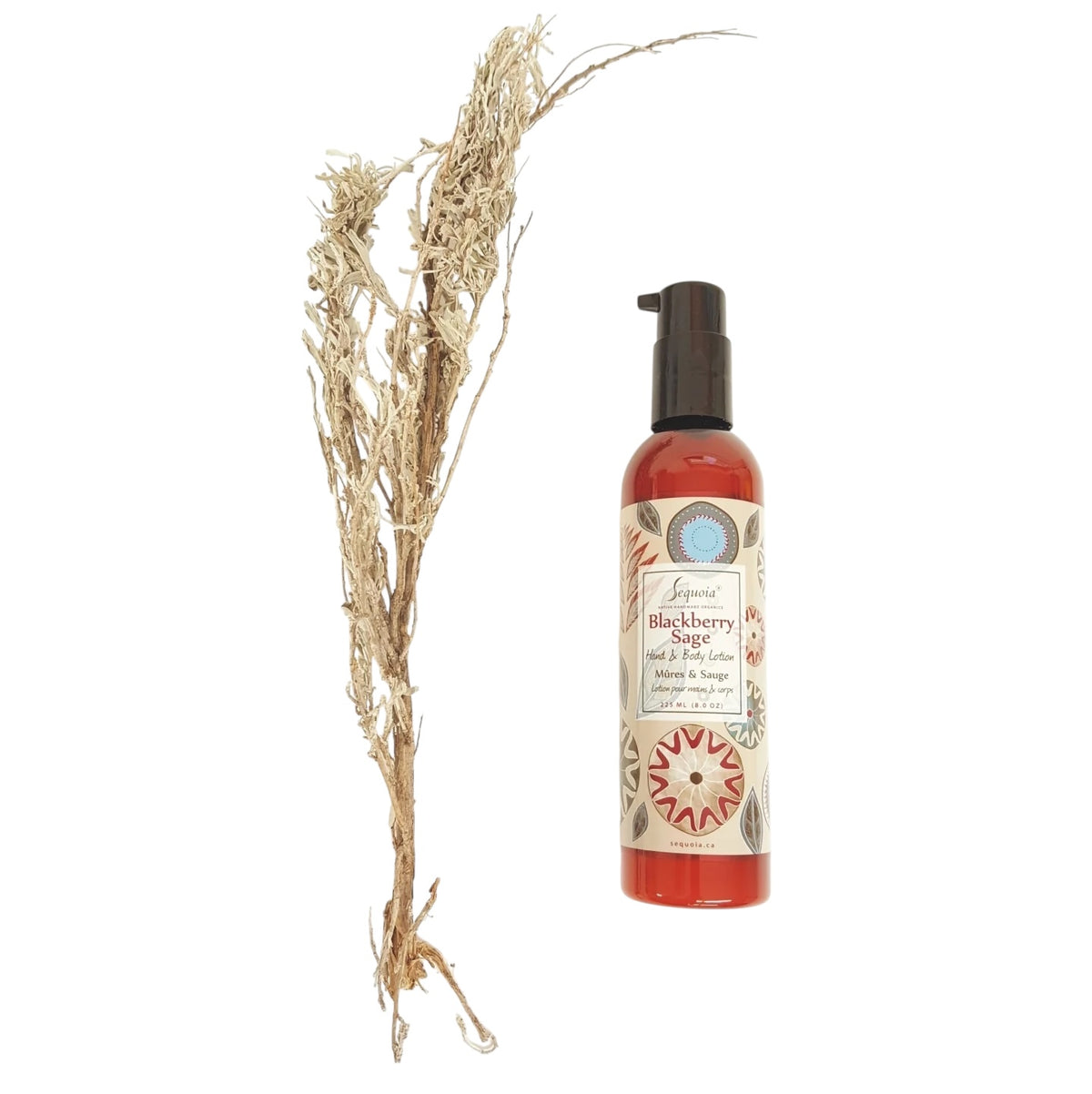 Blackberry Sage Lotion 2oz