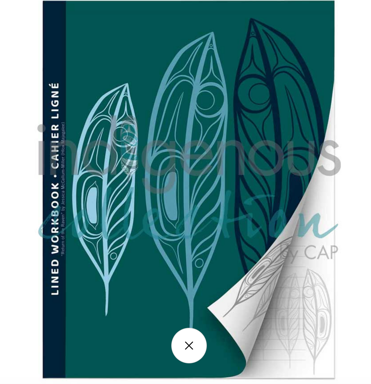 Sacred Connections Workbook – Jessica McCallum-Miller (Hlox Majagalee), Gitksan Artist