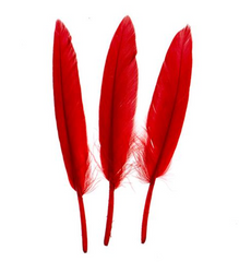 Small Duck Wing Feathers 3-4 inch (24 piece)