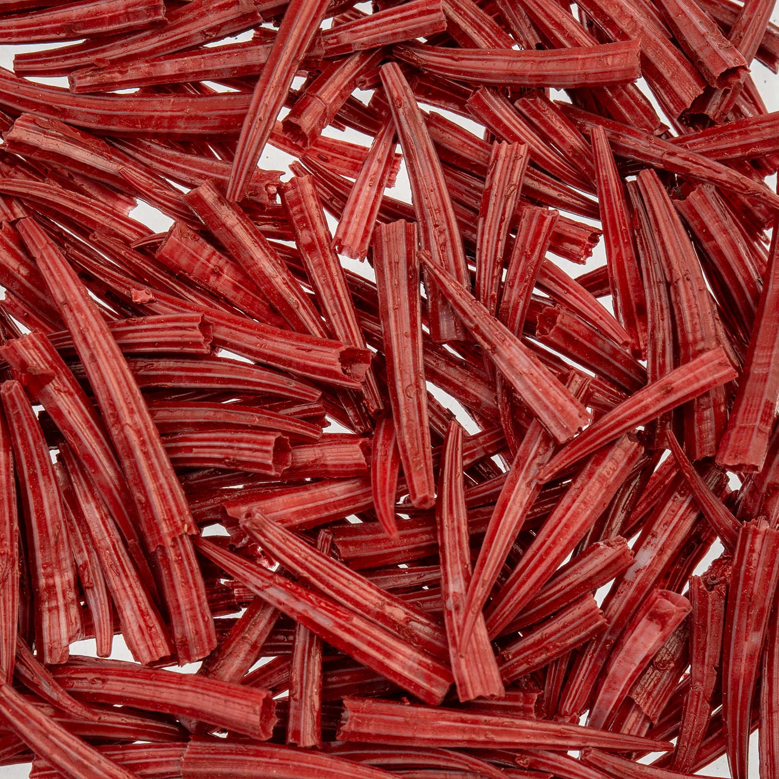 Ridged Dentalium Shells – Oil Painted & Water Resistant (30g / Approx. 100 pcs)