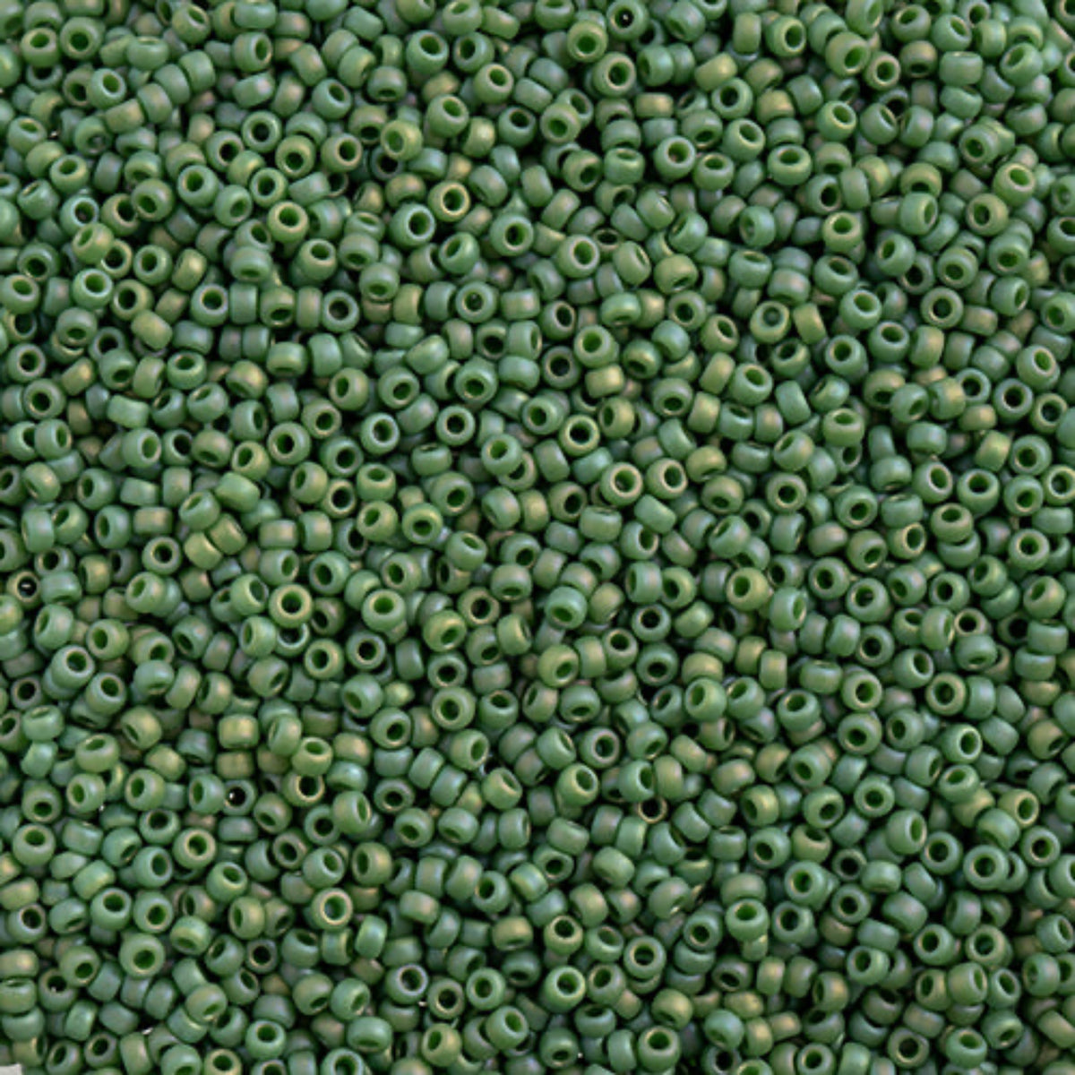 15/0 Miyuki Seed Beads Frosted Glazed/Rainbow Green Pine Matte AB #4699V