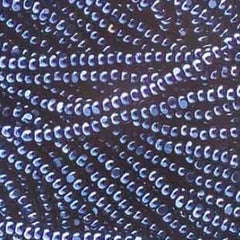 13/0 Charlotte Cut Preciosa (Czech) Bead Transparent Dark Blue Luster Strung